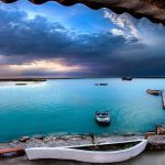 برای یک سفر یک روزه پاییزی از سن خوزه، کالیفرنیا، از منطقه خلیج سانفرانسیسکو لذت ببرید